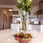 Appartement Apartma Sofija, Moravski Dvori Moravske Toplice