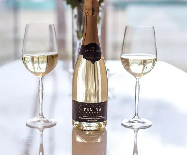 Apartma Sofija, Moravski Dvori *